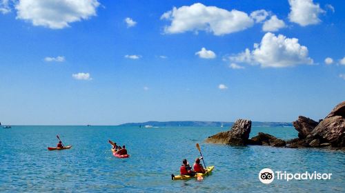 Sea Kayak Devon