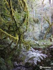 Reserva Nacional El Nogalar de Los Toldos