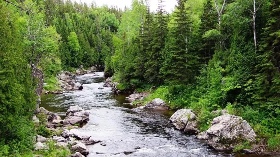 Tronçon Sénescoupé du Sentier National