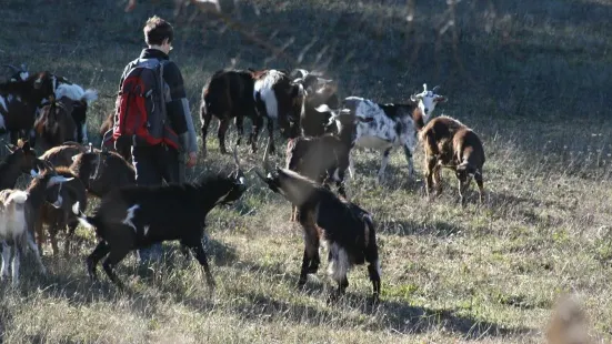 Farm Fabrigoules