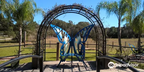 The True Blue Winery