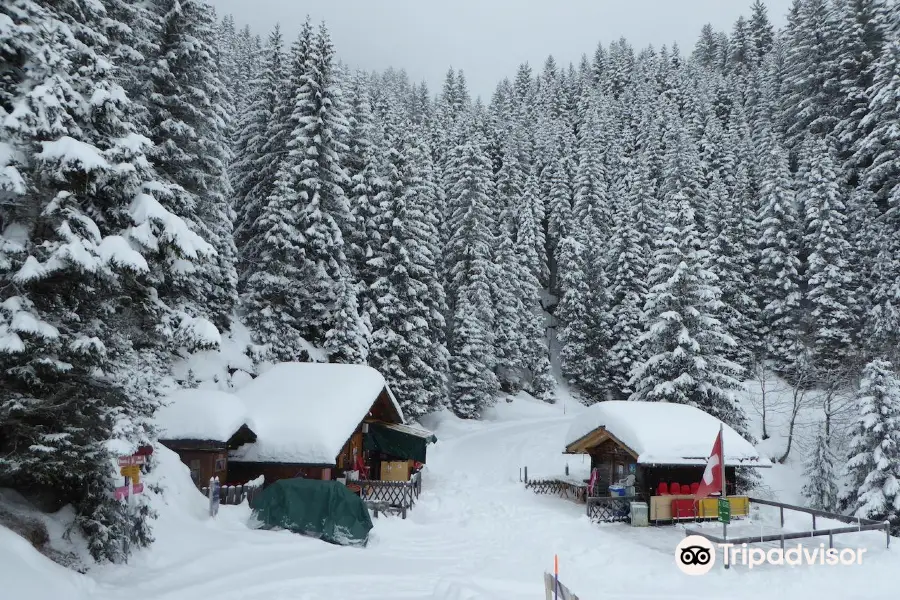 Wanderung Bussalp - Bort