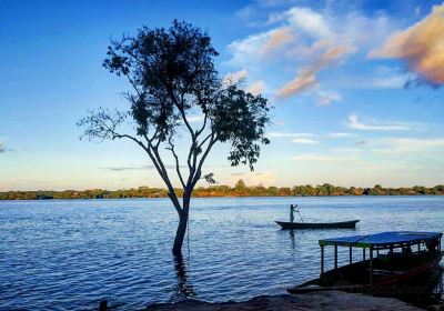 Laguna Yarinacocha