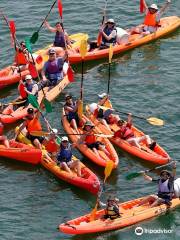 Canoeing Club Quimper Cornouaille