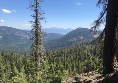 Ellis Peak Trail