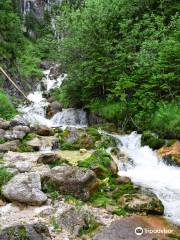 Silberkarklamm