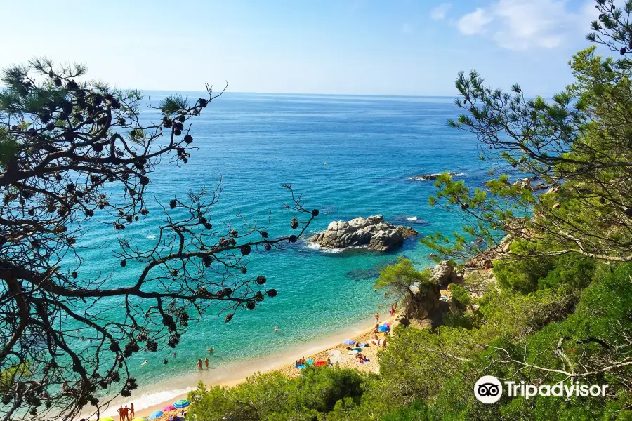 Platja de sa Boadella