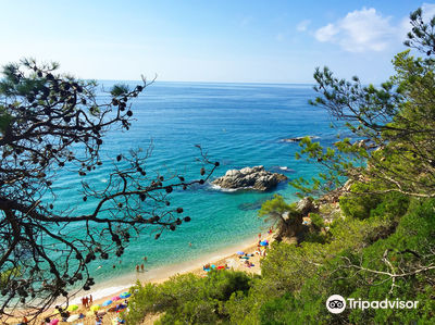 Playa Cala Sa Boadella