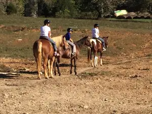 Jesse James Riding Stables