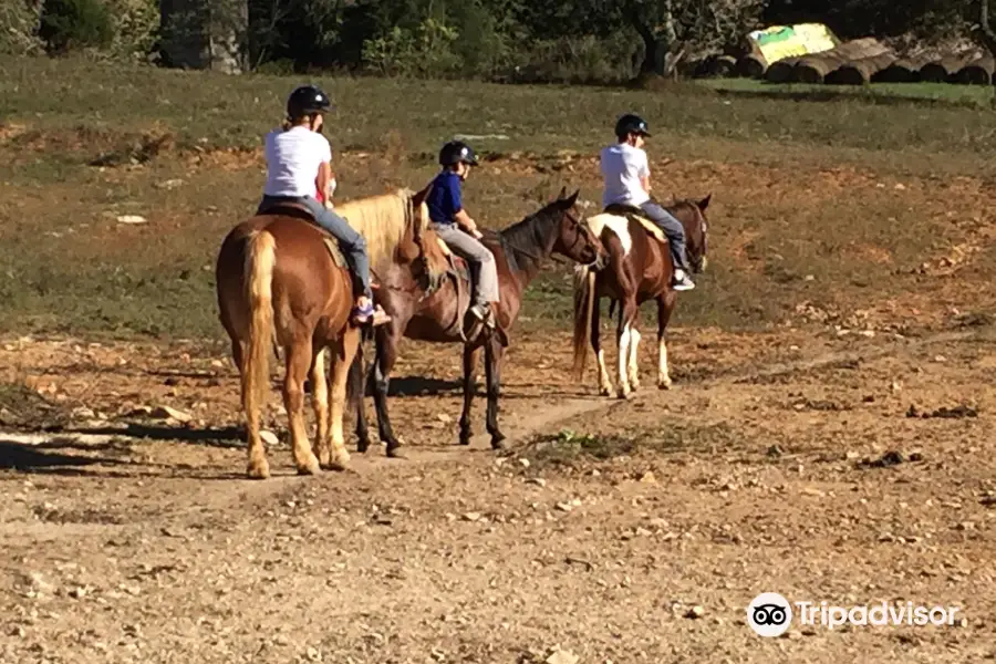 Jesse James Riding Stables