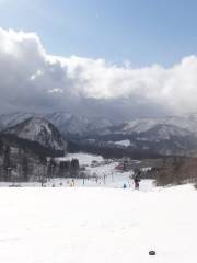Mikawaonsen Ski Areas