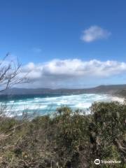 Hakea Trail