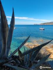 Spiaggia di Peducelli