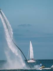 FlyBoard