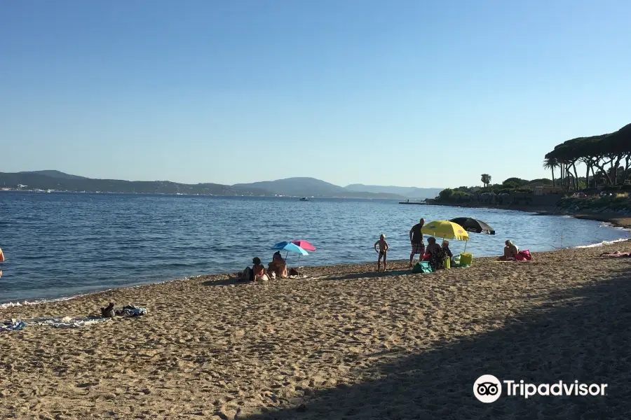 Plage de la Madrague