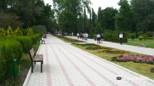 Dendrarium Park