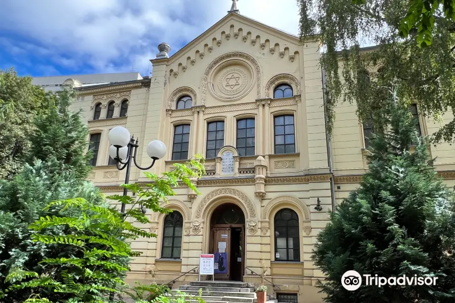 Nozyk Synagogue （Synagoga Nozykow）