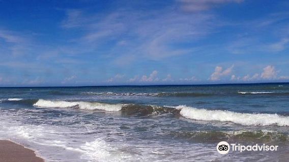 Laguna de la Restinga