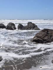 Salmon Creek State Beach