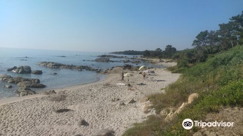 Spiaggia di Musculedda