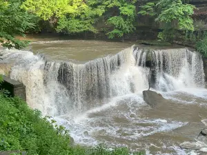Viaduct Park