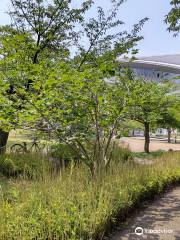 Stade du parc Misaki