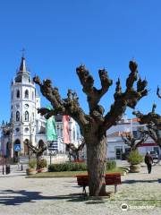 Saint Antonio Church (Reguengos de Monsaraz)