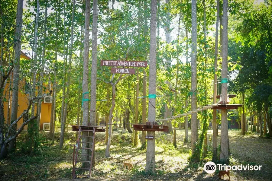 Tree Top Adventure Park Huahin