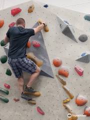 Bouldercentrum Delfts Bleau