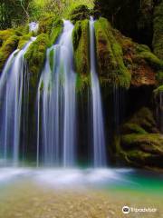 Oasi Cascate Capelli Di Venere