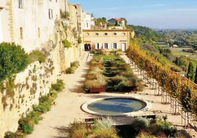 Jardin des Plantes Tinctoriales