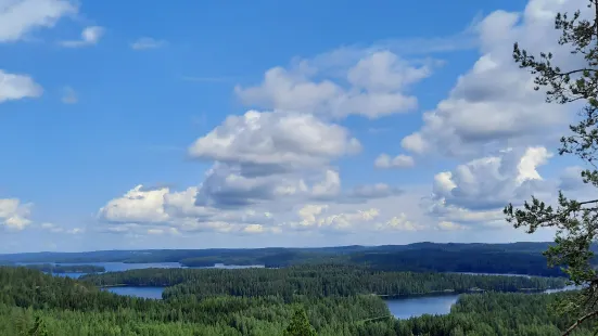 Neitvuori