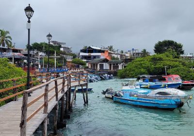 Santa Cruz Fish Market
