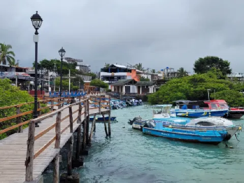 Santa Cruz Fish Market