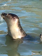 Natureland Seal Sanctuary (Skegness)