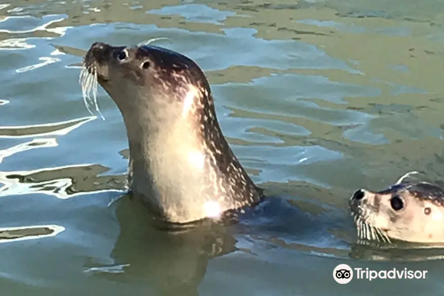 Natureland Seal Sanctuary