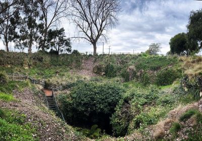 Engelbrecht Cave