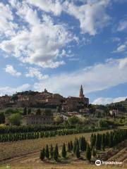 Castello di Montecchio Vesponi