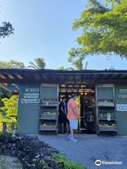 Laulima Farm Fruit Stand