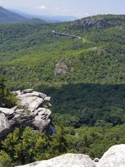 Rough Ridge Lookout