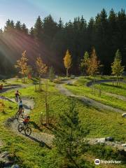 Swiss Bike Park Oberried