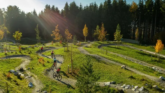 Swiss Bike Park Oberried