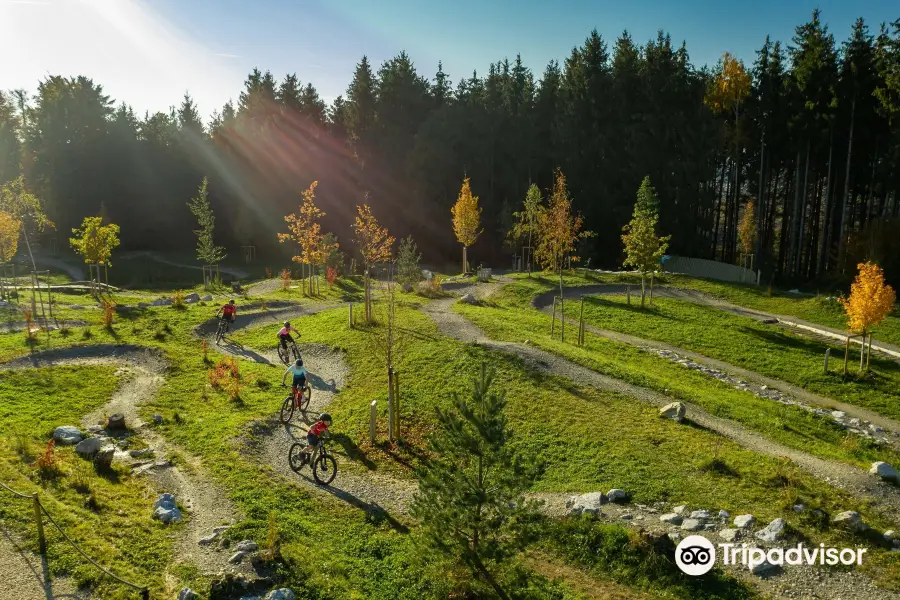 Swiss Bike Park Oberried