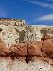 Toadstool park