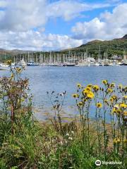 Craobh Marina