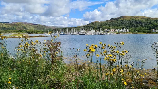 Craobh Marina