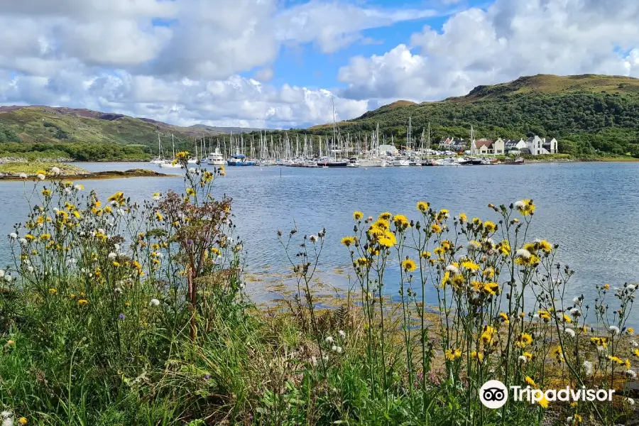 Craobh Marina