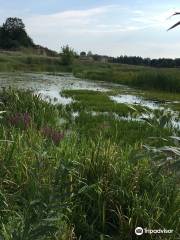 Biebrza National Park