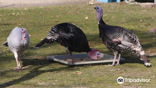 Walkabout Wildlife Sanctuary