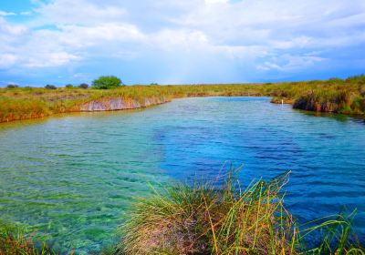 Poza Azul